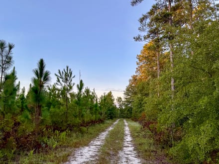 HUNTER BRANCH TRACT