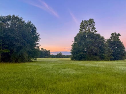HUNTER BRANCH TRACT
