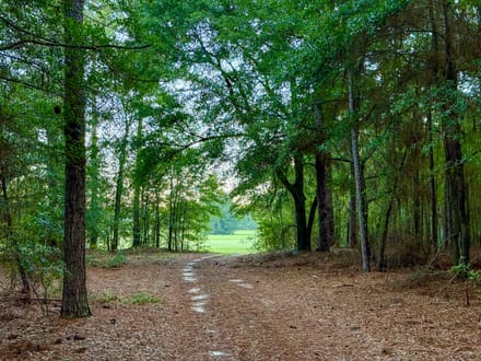 HUNTER BRANCH TRACT