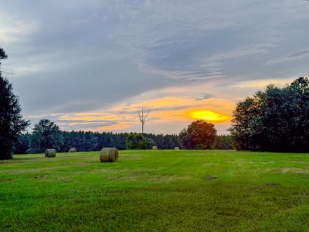HUNTER BRANCH TRACT