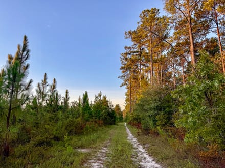HUNTER BRANCH TRACT