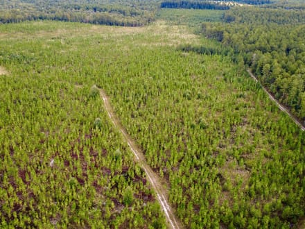 HUNTER BRANCH TRACT