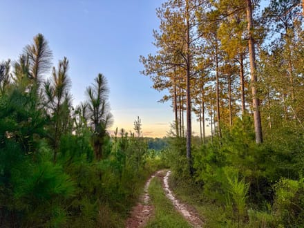HUNTER BRANCH TRACT