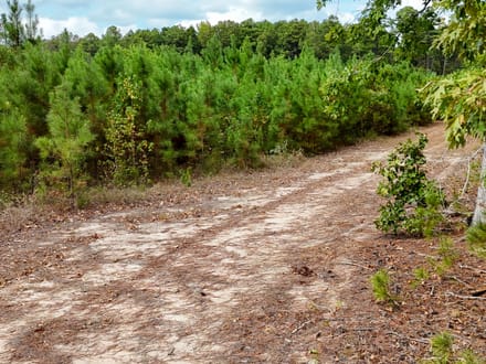 SULPHUR SPRINGS TRACT