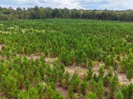 SULPHUR SPRINGS TRACT