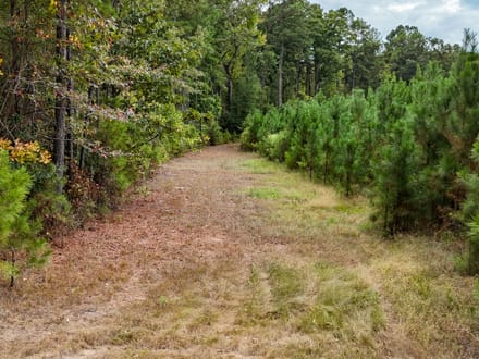 SULPHUR SPRINGS TRACT