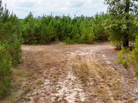 SULPHUR SPRINGS TRACT