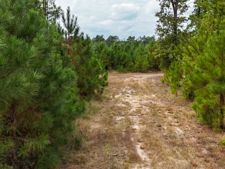 SULPHUR SPRINGS TRACT