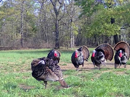 Ridge Crest Farm
