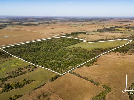 Whitetail Creek 180