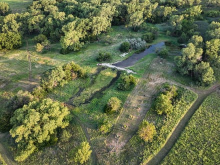 Auction! 67+/- acres of Hunting and Development Tract 2 of 4
