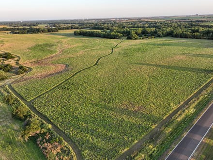 Auction! 67+/- acres of Hunting and Development Tract 2 of 4