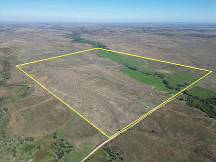 AUCTION  -  477+/- acres of Tillable and Grass in Osborne County, KS