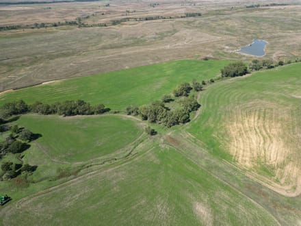AUCTION  -  477+/- acres of Tillable and Grass in Osborne County, KS