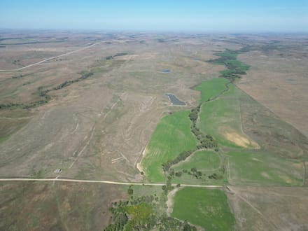 AUCTION  -  477+/- acres of Tillable and Grass in Osborne County, KS