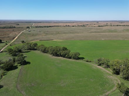 AUCTION  -  477+/- acres of Tillable and Grass in Osborne County, KS
