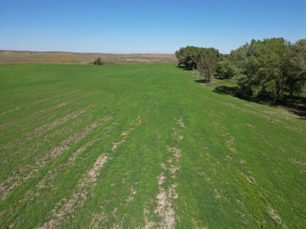 AUCTION  -  477+/- acres of Tillable and Grass in Osborne County, KS