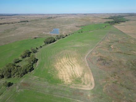 AUCTION  -  477+/- acres of Tillable and Grass in Osborne County, KS