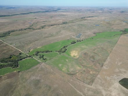 AUCTION  -  477+/- acres of Tillable and Grass in Osborne County, KS