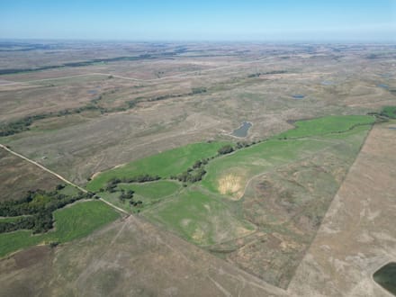 AUCTION  -  477+/- acres of Tillable and Grass in Osborne County, KS