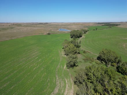 AUCTION  -  477+/- acres of Tillable and Grass in Osborne County, KS