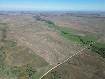 AUCTION  -  477+/- acres of Tillable and Grass in Osborne County, KS