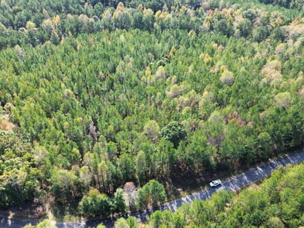 26 +/- Acres Tallapoosa Co. AL 