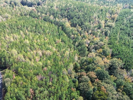26 +/- Acres Tallapoosa Co. AL 
