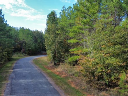 26 +/- Acres Tallapoosa Co. AL 