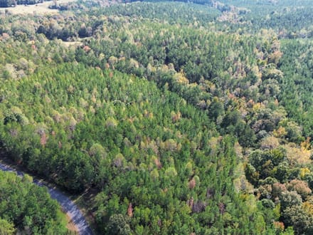 26 +/- Acres Tallapoosa Co. AL 