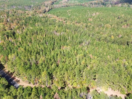 26 +/- Acres Tallapoosa Co. AL 