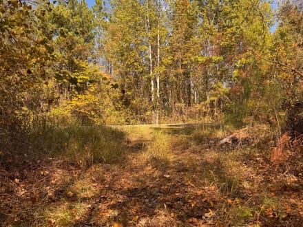 26 +/- Acres Tallapoosa Co. AL 
