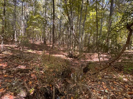 12 +/- Acres Hatchechubbee, AL 