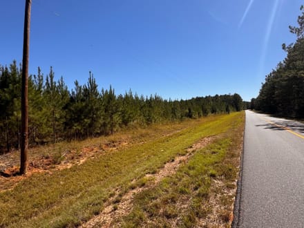 12 +/- Acres Hatchechubbee, AL 
