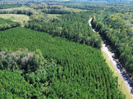 12 +/- Acres Hatchechubbee, AL 