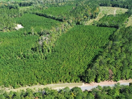 12 +/- Acres Hatchechubbee, AL 