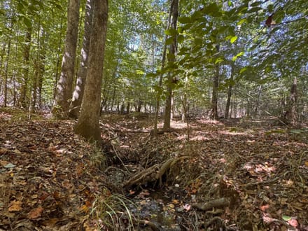 12 +/- Acres Hatchechubbee, AL 