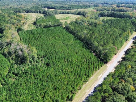 12 +/- Acres Hatchechubbee, AL 