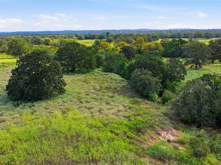 TBD Young School House Rd, Smithville, Texas 78957