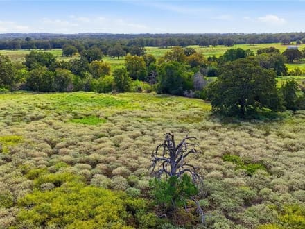 TBD Young School House Rd, Smithville, Texas 78957