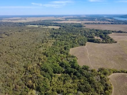 Galla Creek 40