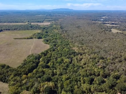 Galla Creek 40