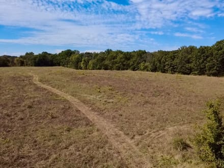 Galla Creek 40