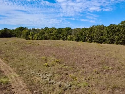 Galla Creek 40