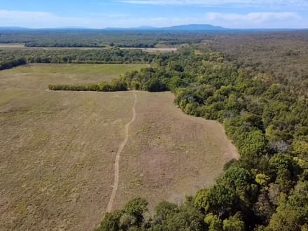 Galla Creek 40