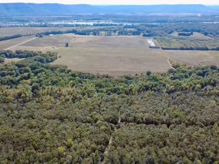 Galla Creek 40