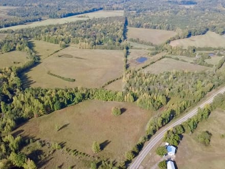 Hattieville Hwy 247