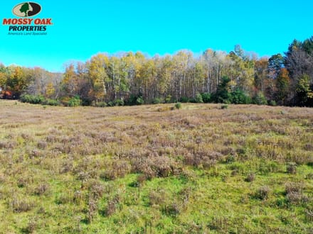 31+/- Acres, Cambridge Springs - Tattle Street