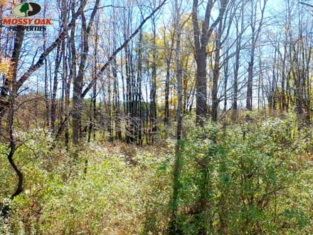 31+/- Acres, Cambridge Springs - Tattle Street