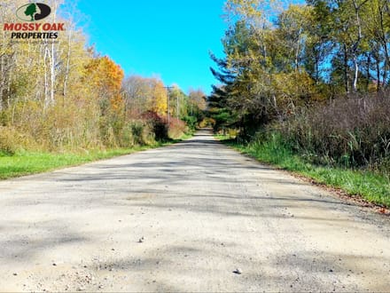 31+/- Acres, Cambridge Springs - Tattle Street